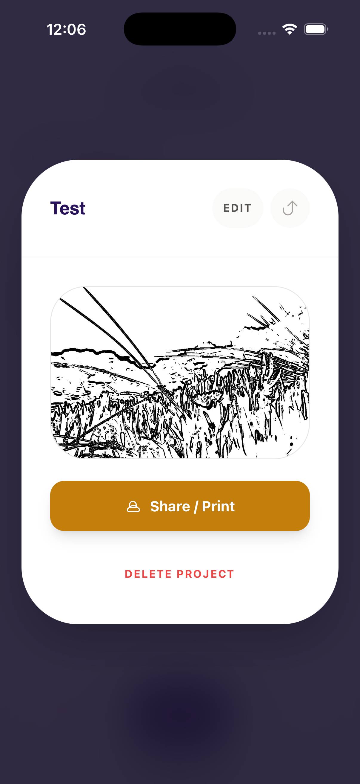 ColorMyPic print share and delete project